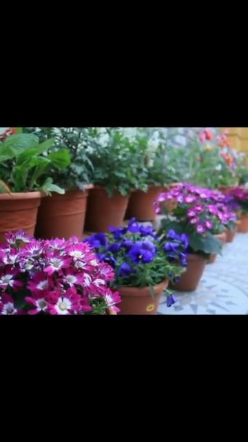 8 марта 2024 г. смотреть онлайн