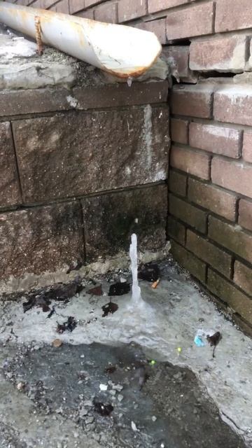 А говорят у марта есть месяц | Все проснулось #город #shor смотреть онлайн