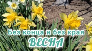 БЕЗ КОНЦА И БЕЗ КРАЯ ВЕСНА!