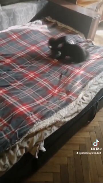 В каждом маленьком ребенке и мальчишке и девченке..... смотреть онлайн