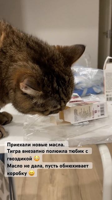 Тигра и масло гвоздики смотреть онлайн