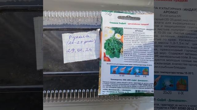 рукола, мята ,гербера ,салат жапырағы дәннен егу . 29.01.24? смотреть онлайн