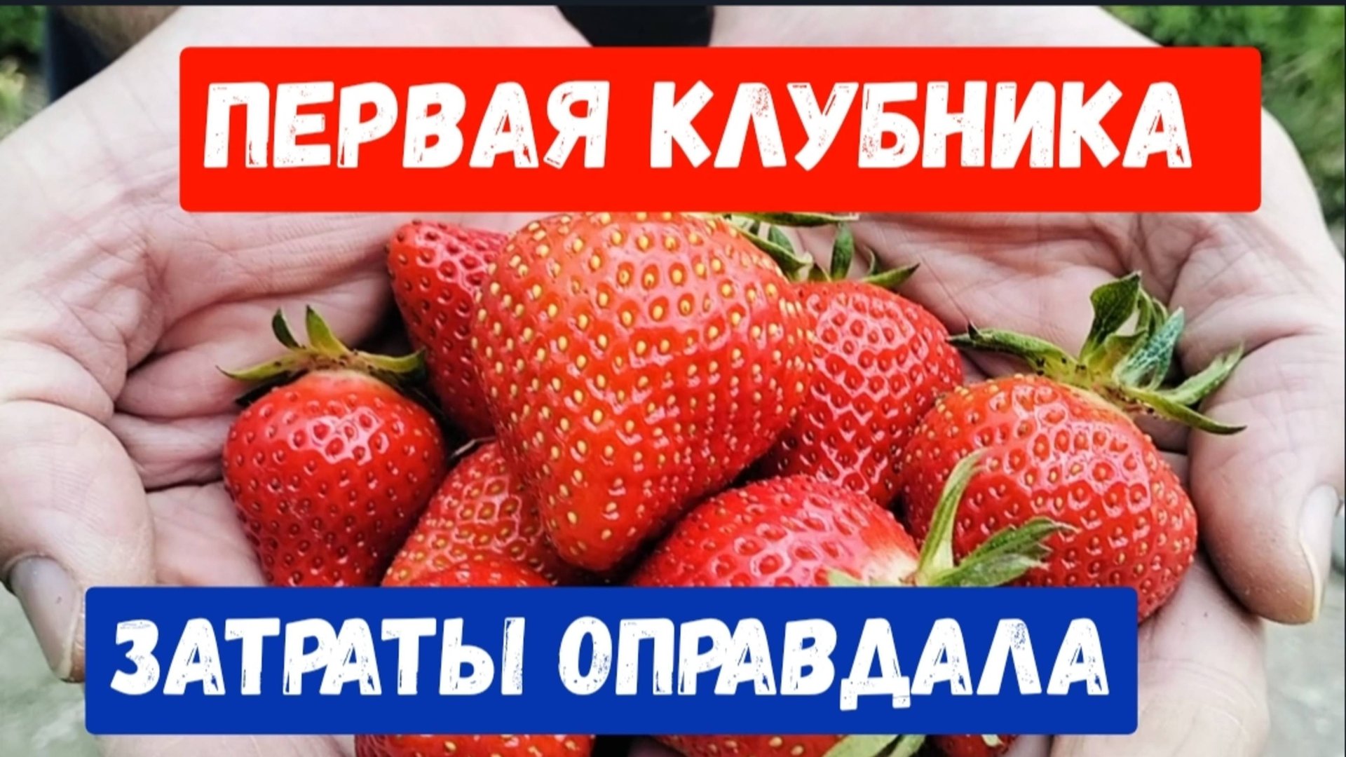 #18🌷Газонокосилка в помощь/Траву скосили/Первая клубника/Затраты оправдала своим трудом смотреть онлайн