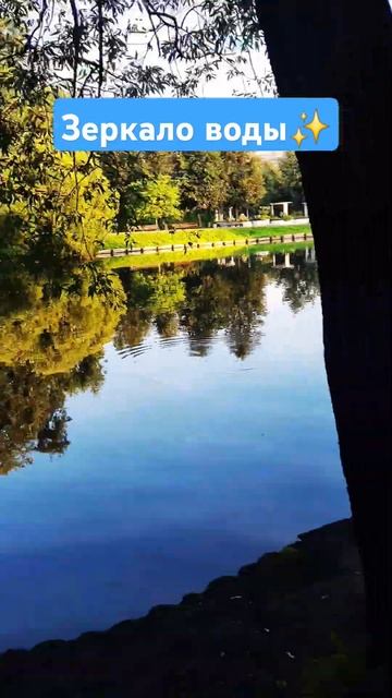 великолепный вид на воронцовские пруды 🏞️