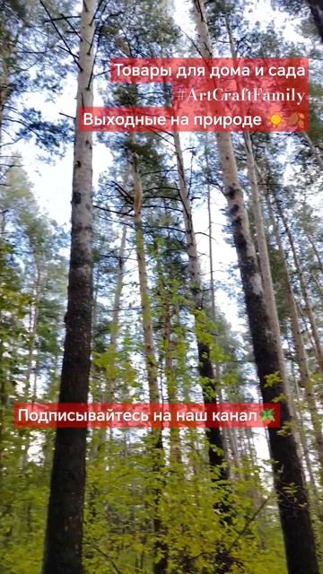 Выходные на природе! Но всё равно плетём кашпо, рисуем смотреть онлайн