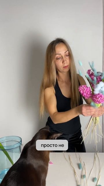 Гиацинт убьeт всех остальных в букете! Что делать? Ссыл смотреть онлайн