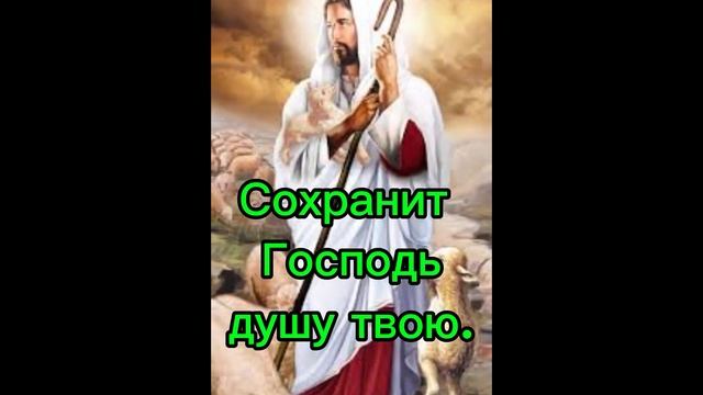 26 августа 2024 г. смотреть онлайн