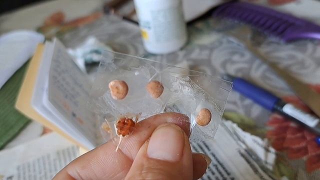 Семена отборные!Пробуйте друзья. смотреть онлайн