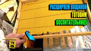 РАСШИРЕНИЕ ПЧЕЛОСЕМЕЙ ВОЩИНОЙ. ПОДГОТОВКА СЕМЬИ ВОСПИТАТЕЛЬНИЦЫ ДЛЯ ВЫВОДА МАТОК ПЧЕЛОВОДСТВО 25-17