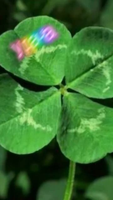 Делала 5-10 минут... #говрек #клевер #gachaclub смотреть онлайн