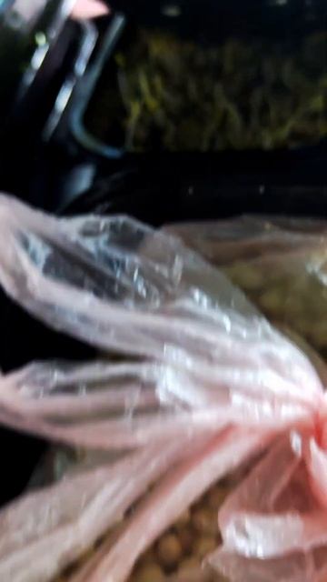 Бизнес на выращивании микрозелени смотреть онлайн