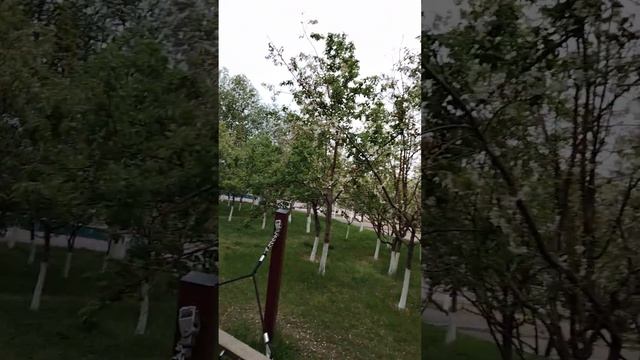 Качели в парке смотреть онлайн