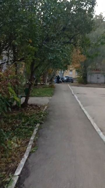 #Самара. 18 октября. Плюс 4. Какая погода в вашем городе? смотреть онлайн