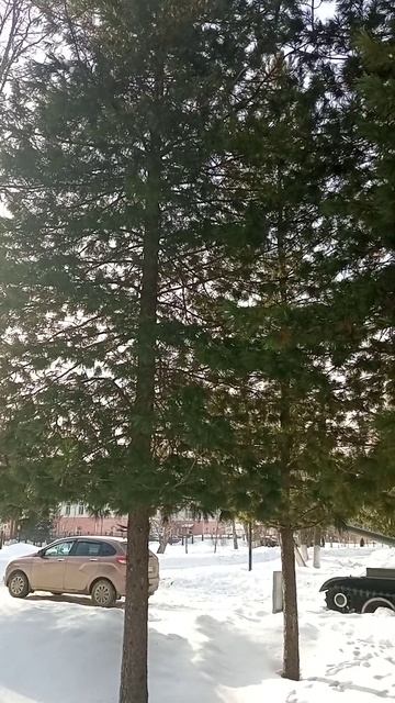 месяц Март и тает снег смотреть онлайн