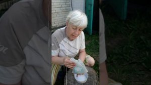 Как я сажаю 2 кг лук севок сорта Центурион и Бирнформиг