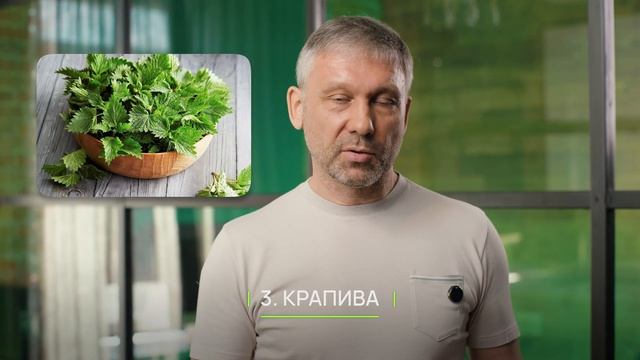 НЕ ТРАТЬ время на ЭТУ зелень! / ХУДШИЕ виды зелени для б смотреть онлайн
