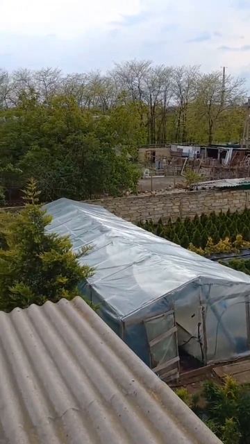 Розсадник рослин Дача в Одесі. смотреть онлайн