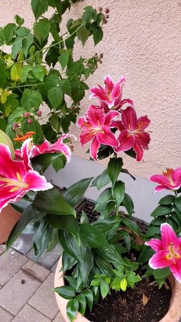 что значит любить? смотреть онлайн