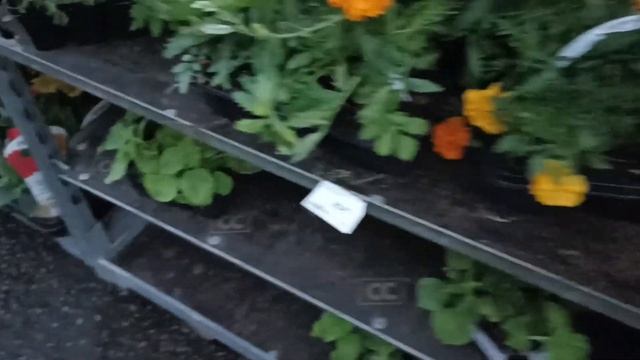 ЛЕРУА МЕРЛЕН. Выбираю цветы. смотреть онлайн