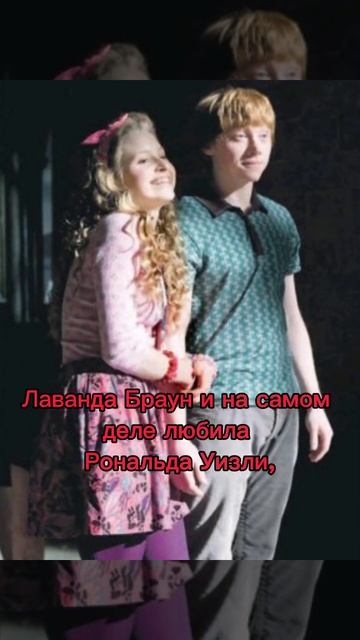 ❤️факт про Лаванда Браун #harrypotter #hp #гаррипоттер #подп? смотреть онлайн