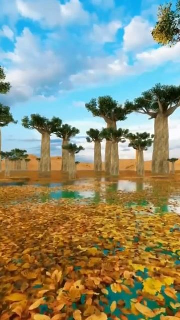 🇲🇬 Аллея баобабов, Мадагаскар. Прекрасный мир 🌲 смотреть онлайн