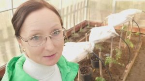 Видео привет с 6 соток 7 мая 2025 года