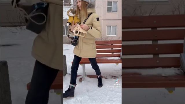 кошка мята Все серии  Catmiata