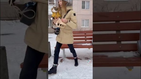 кошка мята Все серии  catmiata