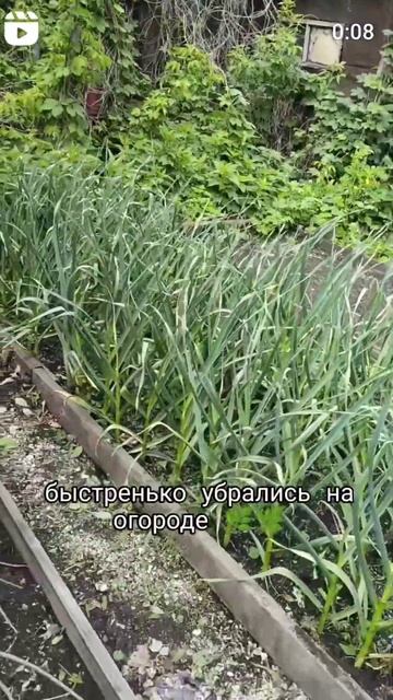 люблю огород, особенно когда он твой только два раза в смотреть онлайн