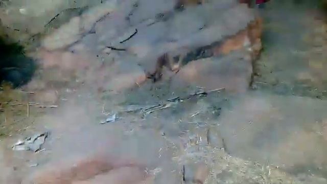 6  Пичалини шила (вид сверху)