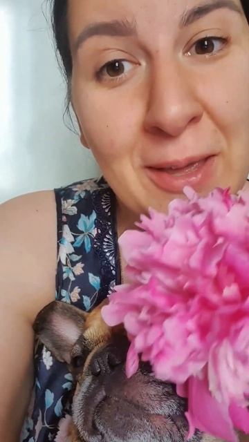 История про пионы и бабушкину любовь #внучкаобабушке смотреть онлайн