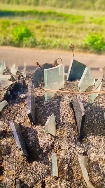 Жесть! Индийская защита от воров смотреть онлайн