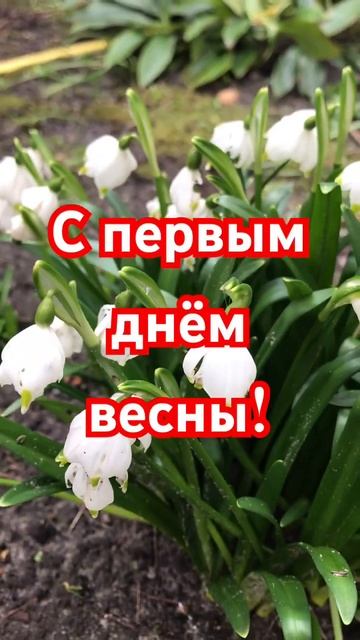 1 марта 2024 #германия #цветы #shorts смотреть онлайн