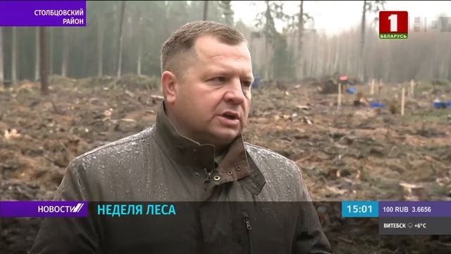 Неделя леса 2022 БТ смотреть онлайн