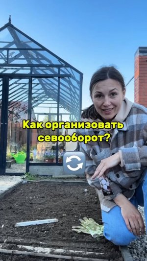 Как организовать севооборот в огороде?