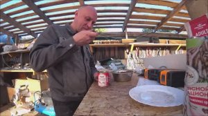 Тестирую тушёнку на собаках