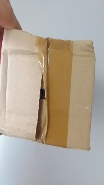 Посылка с бегониями #цветы #бегония #распаковка смотреть онлайн