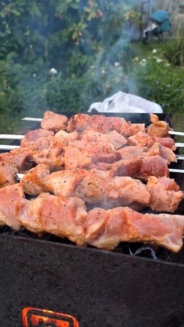 2 дня отдыху перед вахтой ПЛОВ ШАШЛЫКИ