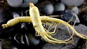 10 интересных фактов о женьшене#женьшень#панацея#лекар