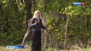 В смоленском приюте «Верность» подрастает лось