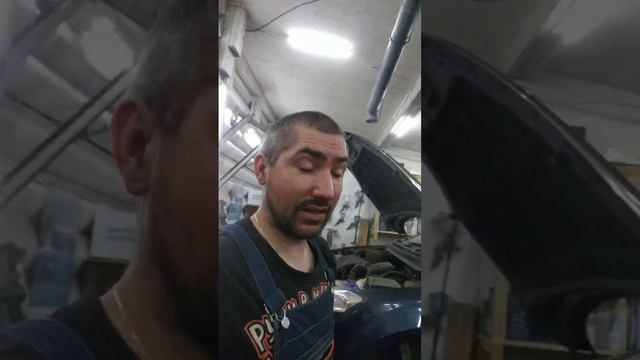 Вот почему гниёт низ крыла смотреть онлайн