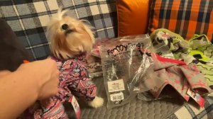 Formydogs. Распаковка одежды для собак.