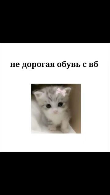 🎀#школа#обувь#недорого#рек #музыка#рекомендации смотреть онлайн