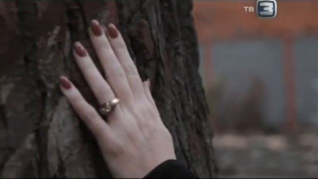 25 сентября 2024 г. смотреть онлайн