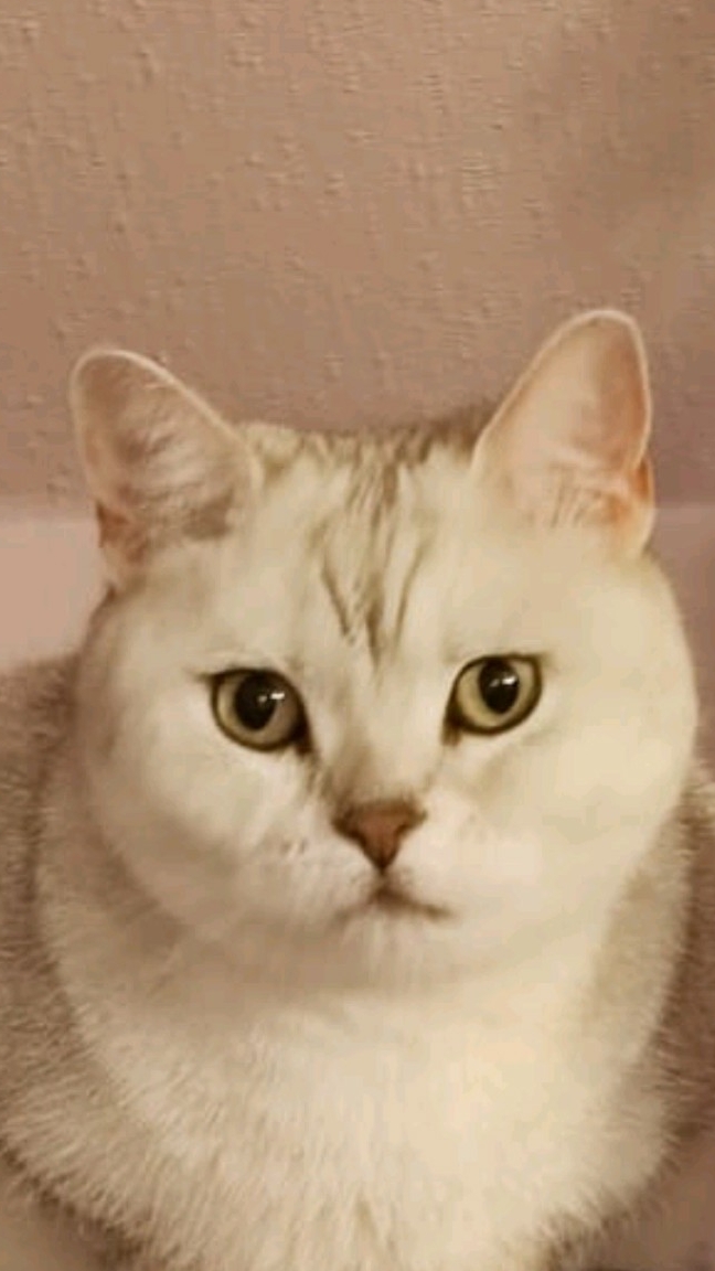 Когда ты ешь, тем временем твой друг