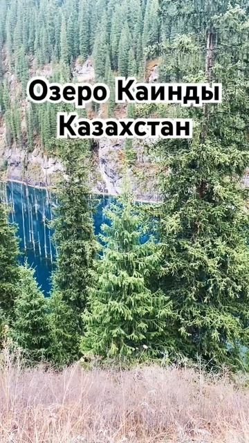 Казахское чудо света😍 Озеро Каинды в котором растут ? смотреть онлайн