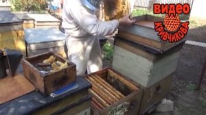 Видео  Расширение весной