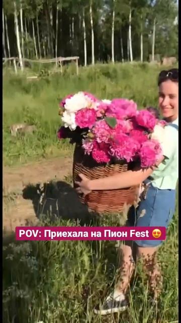 24 июня Пион Fest 2023 на цветочной ферме Williams Garden 🌸 смотреть онлайн
