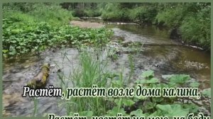 Лена Василёк и гр. Белый День - Галина -караоке