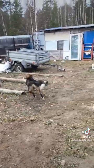 польза есть, траву утопчат смотреть онлайн